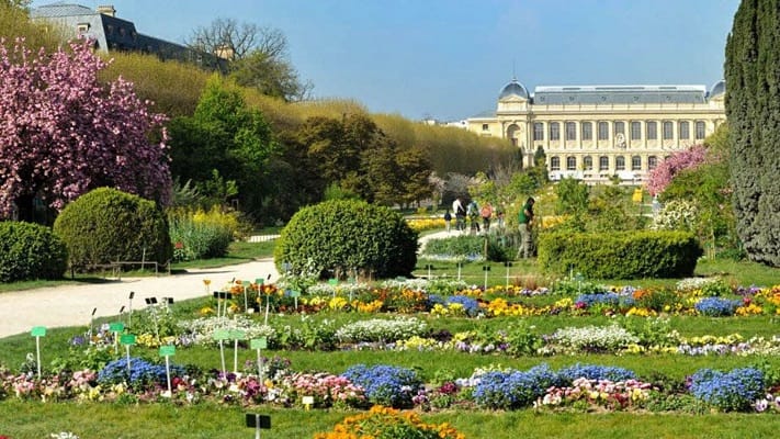 Jardim das Plantas 1 jardin des plantes grand